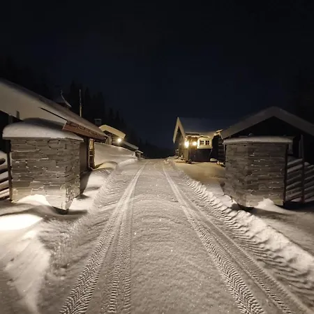 Banseterlodgen Holiday home *