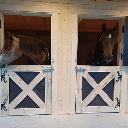 Banseterlodgen * Favang