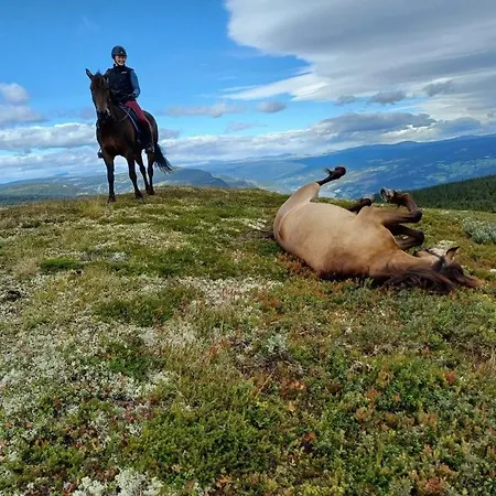 Nyaraló Banseterlodgen Favang